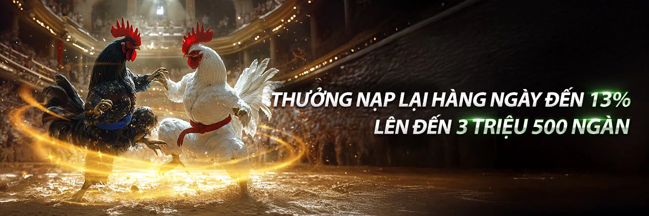 Thành viên VIP xin888 chính thức